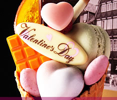 �V���R���p�t�F