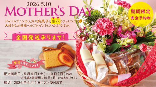 �t���[���V���R��